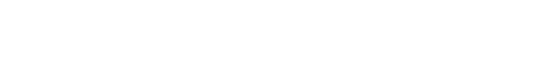 Logo BerylliumGroup
